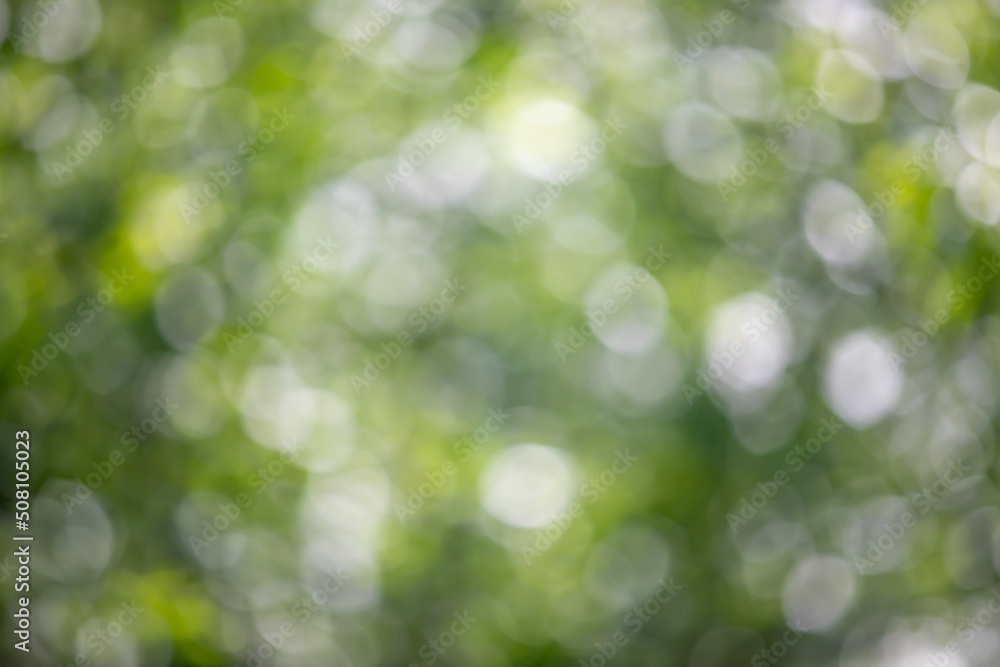 abstract blurred green background, nature bokeh abstract blurred green background, nature bokeh