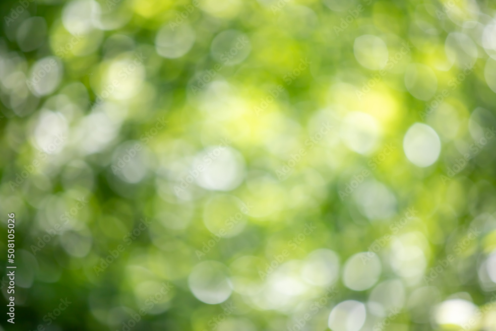 abstract blurred green background, nature bokeh abstract blurred green background, nature bokeh