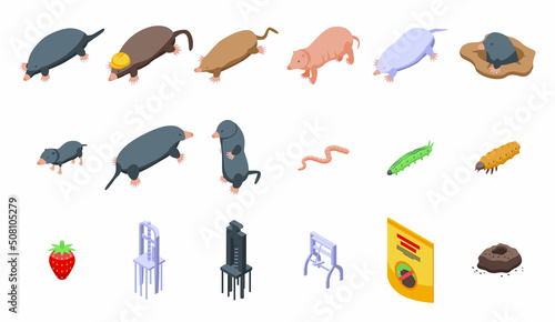 Mole icons set isometric vector. Animal character. Bloated dig