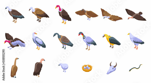 Vulture icons set isometric vector. Bird animal. Africa prey