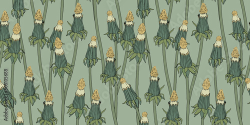 Pattern with unopened dandelion. Dried flowers vintage illustration photo