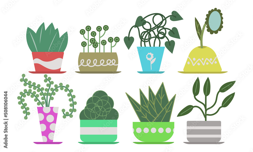 Home plant set decor jungle. House collection planter succulent urban pot vector illustration. Handmade interior hygge and indoor colorful garden. Houseplant with green leaves and floral summer flower