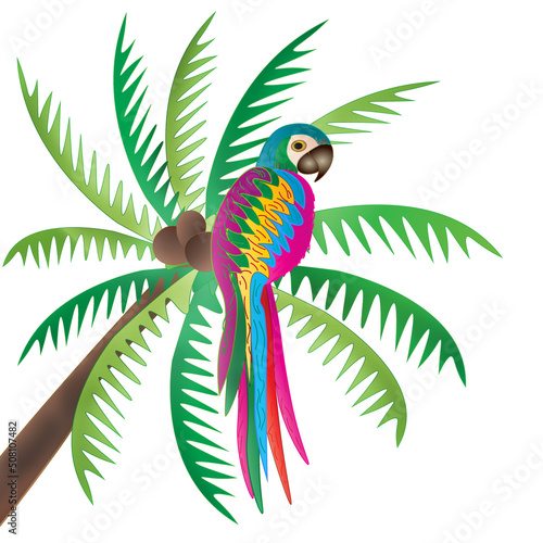 A bright and vividly colored tropical parrot sits in a palm tree.  Illustration is isolated on white background. © MightyBlue