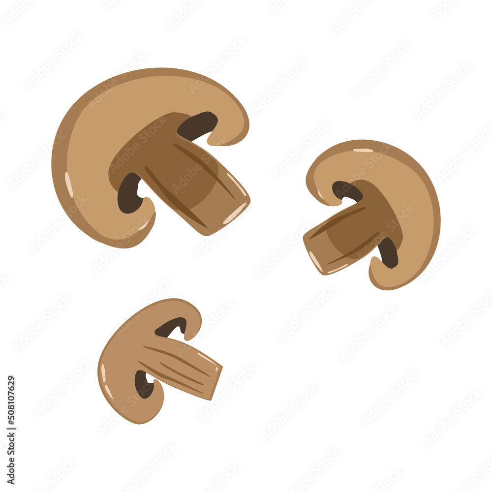 Mushrooms set in cartoon style. Isolated vector. Mushrooms set in cartoon style. Isolated vector.