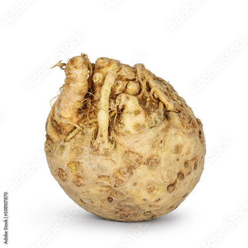 Raw celeriac bulb aka Apium graveolens, isolated on a white background.