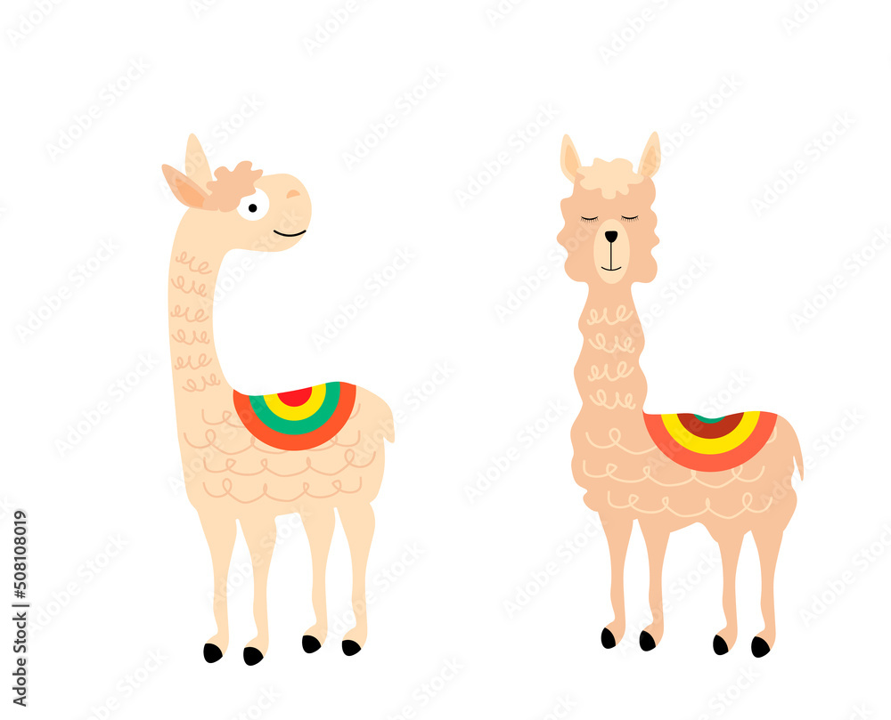 Print with two llamas. For holidays, cards and invitations, covers and brochures, prints for children, interior design, packaging and fabrics. Vector illustration. Print with two llamas. For holidays, cards and invitations, covers and brochures, prints for children, interior design, packaging and fabrics. Vector illustration.
