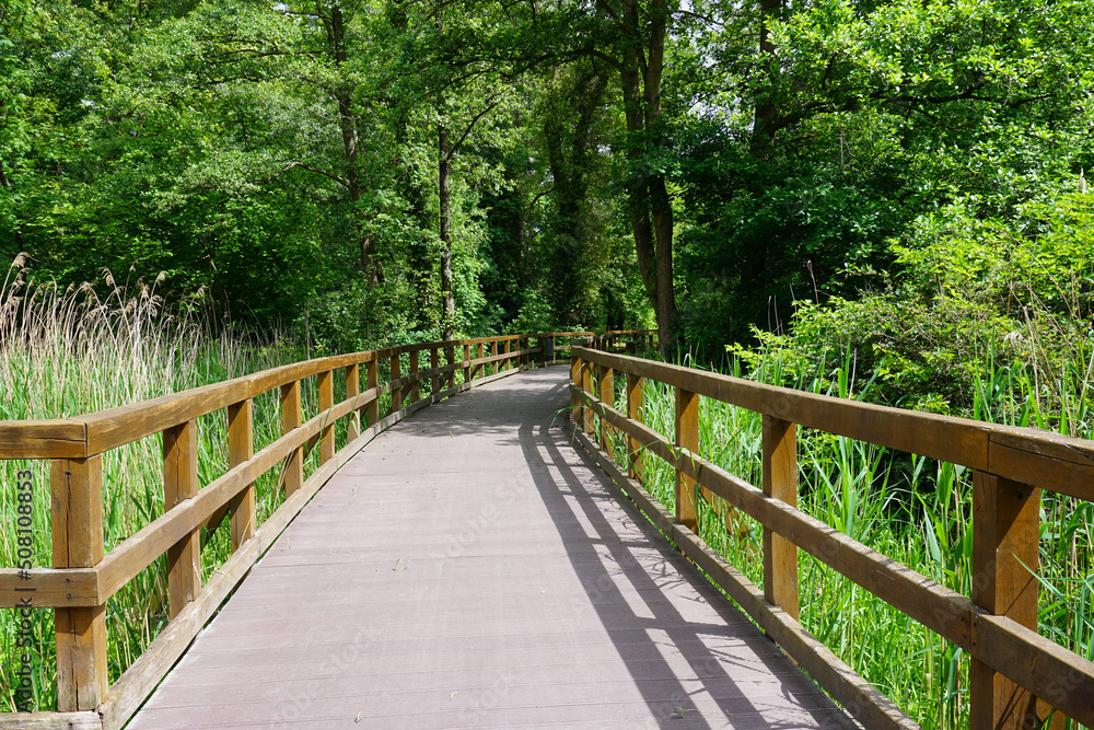 Steggang Auenniederung in Bad Zwischenahn