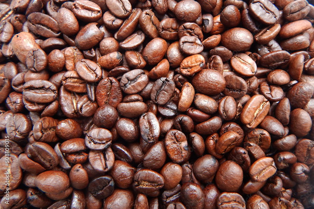 Fototapeta premium Beautiful grains of coffee, close up. Background, texture