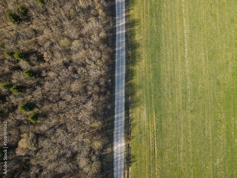 Aerial view of a straight road between leafless trees and a grass field on a sunny day in spring Aerial view of a straight road between leafless trees and a grass field on a sunny day in spring