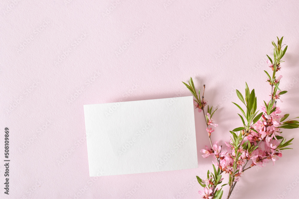 The layout is made of a white sheet of paper and a delicate branch of pink flowers on a pastel pink background. The layout is made of a white sheet of paper and a delicate branch of pink flowers on a pastel pink background.