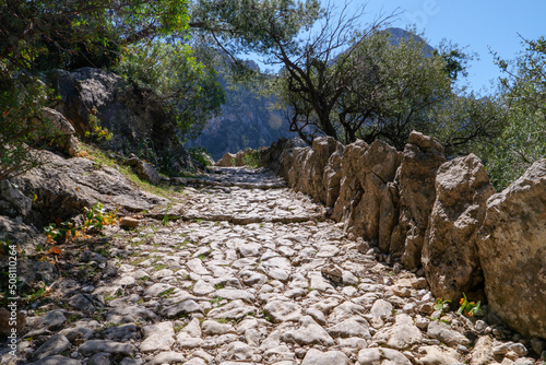 Wanderung auf Mallorca durch das Tramuntana Gebirge auf dem Fernwanderweg GR 221 Ruta de Pedra en Sec von Soller nach Lluc. Hier auf dem historischen Weg durch Barranc de Biniaraix. photo