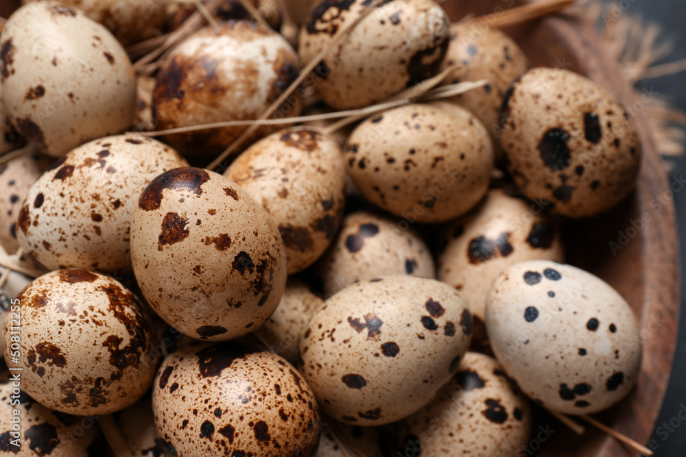 Many fresh quail eggs in bowl, closeup