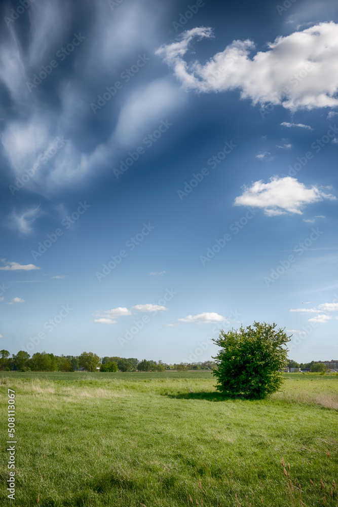 The perfect landscape of fields in a sunny day with perfect clouds in the sky The perfect landscape of fields in a sunny day with perfect clouds in the sky