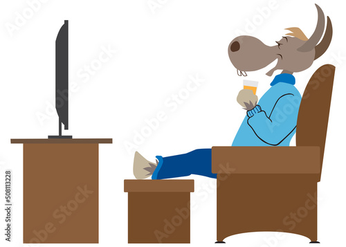 Donkey Watching Television