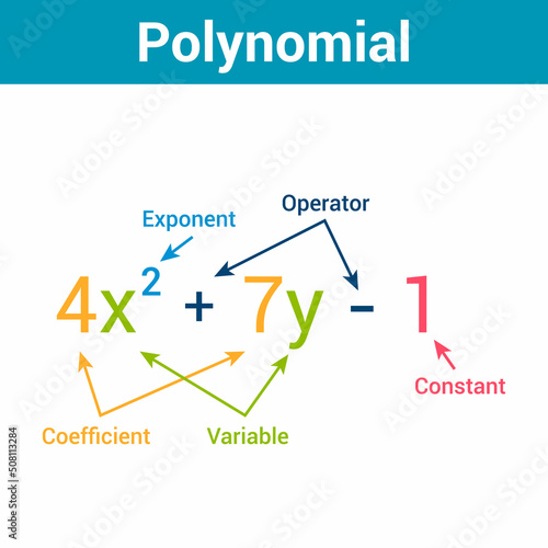 parts of polynomial algebraic expressions photo