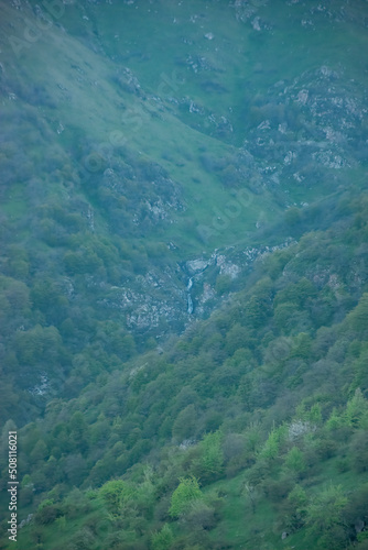 view from the mountain and forest