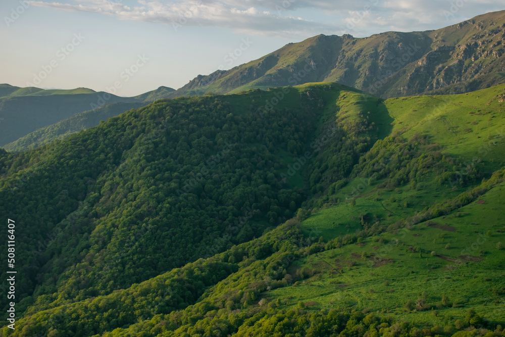 Obraz premium mountain and forest landscape in summer