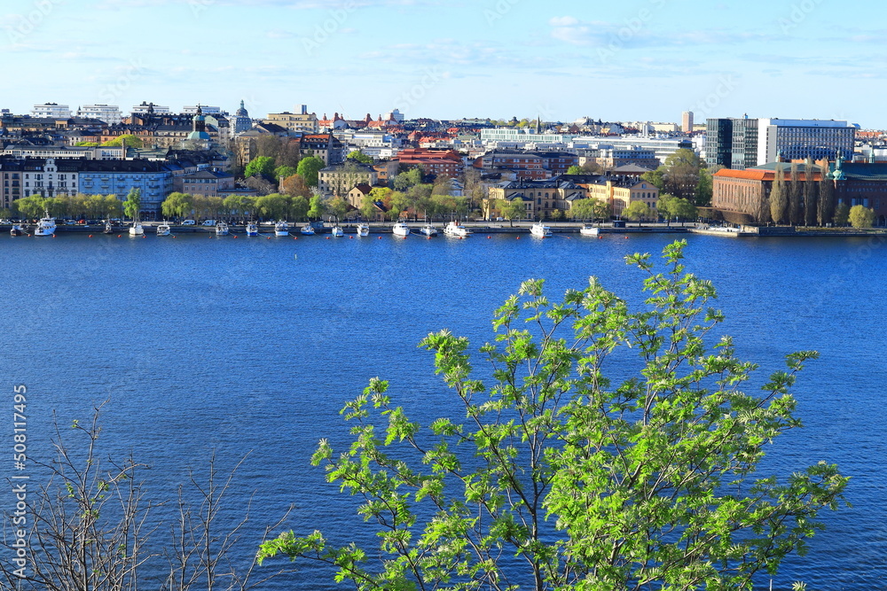 Great view over Stockholm city. One spring day in May. Green leaf bush in front. Central part of the town with the lake Malaren or Mälaren. Stockholm, Sweden, Scandinavia, Europe.