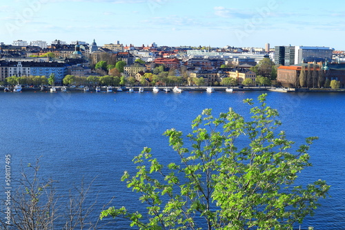 Great view over Stockholm city. One spring day in May. Green leaf bush in front. Central part of the town with the lake Malaren or Mälaren. Stockholm, Sweden, Scandinavia, Europe.