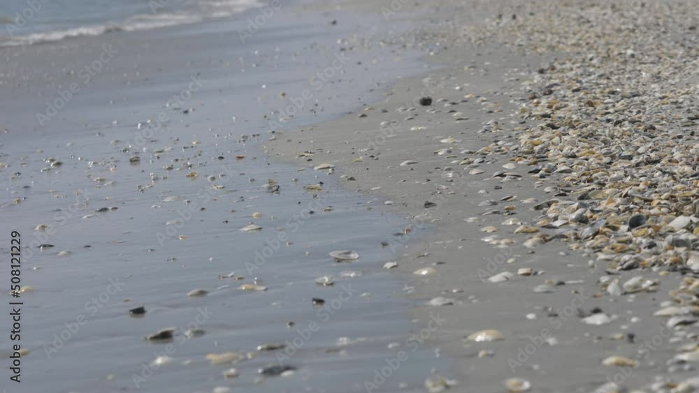 Shells and sand on beach, sea waves Shells and sand on beach, sea waves