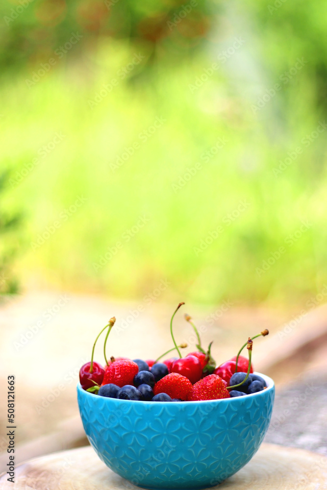 Bowl filled with strawberries, blueberries and cherries in the garden. Selective focus.