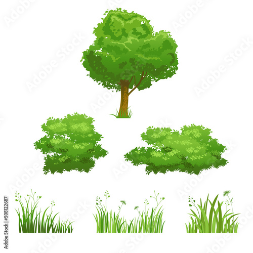 Silhouette of green plants