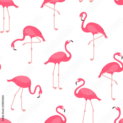 Flamingo vector seamless pattern, pink bird background, tropical summer print. Cute animal wallpaper. Cartoon fashion texture. Exotic illustration © Sylfida