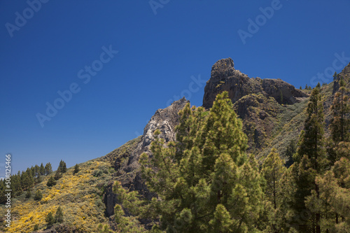 Gran Canaria, landscape of the San Mateo municipality, rock formation Roque Saucillo
 photo