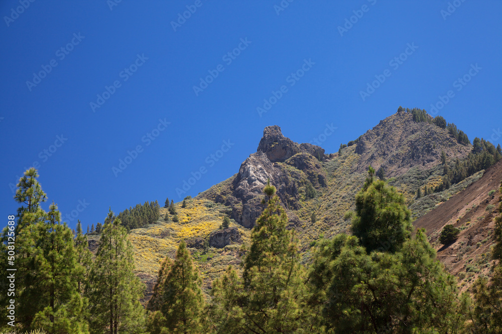 Gran Canaria, landscape of the San Mateo municipality, rock formation Roque Saucillo
