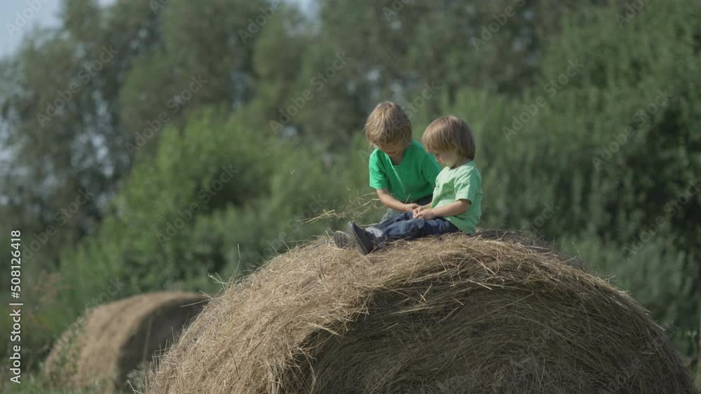 Brothers enjoying time together on a straw bale Brothers enjoying time together on a straw bale