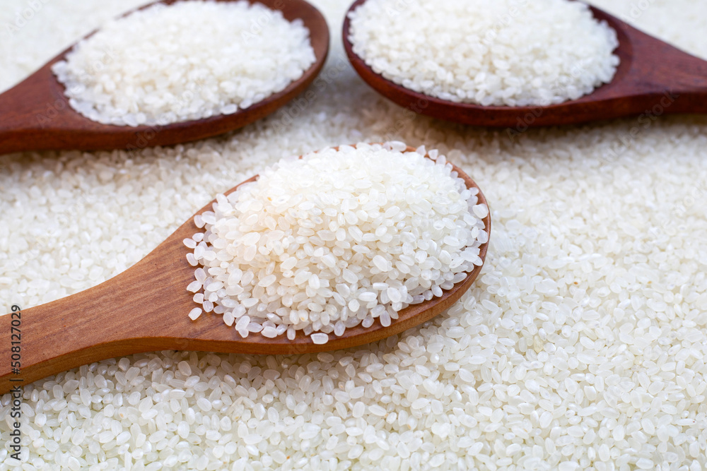 Uncooked japan rice with wooden spoon Uncooked japan rice with wooden spoon