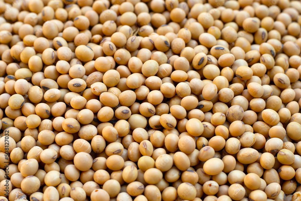 Soybean, Soy is a high quality protein Soybean, Soy is a high quality protein