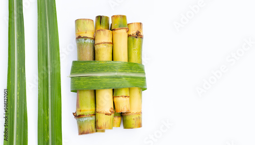 Sugar cane on white background.