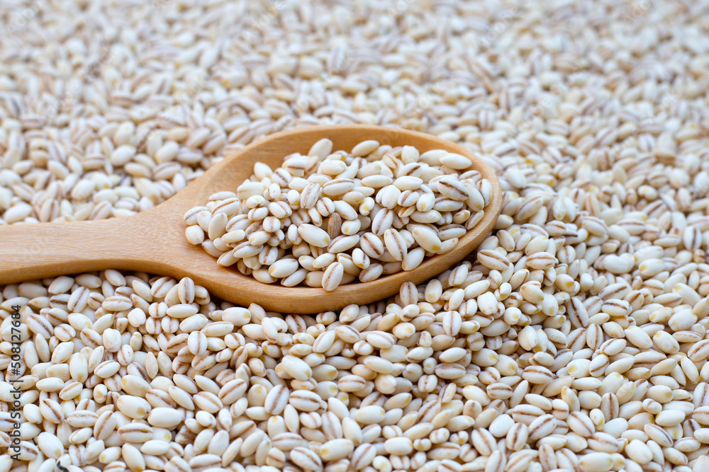 Barley grain with wooden spoon Barley grain with wooden spoon