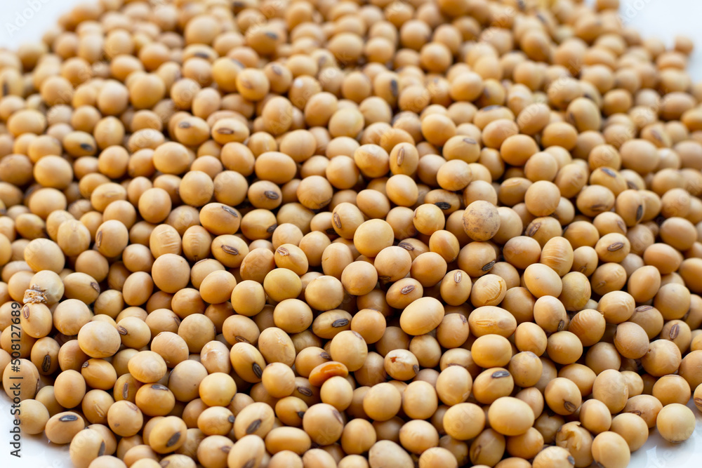 Soybean, Soy is a high quality protein Soybean, Soy is a high quality protein