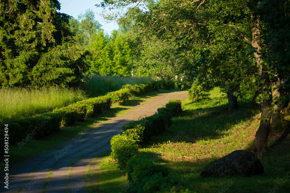 Path in spring green forest Path in spring green forest