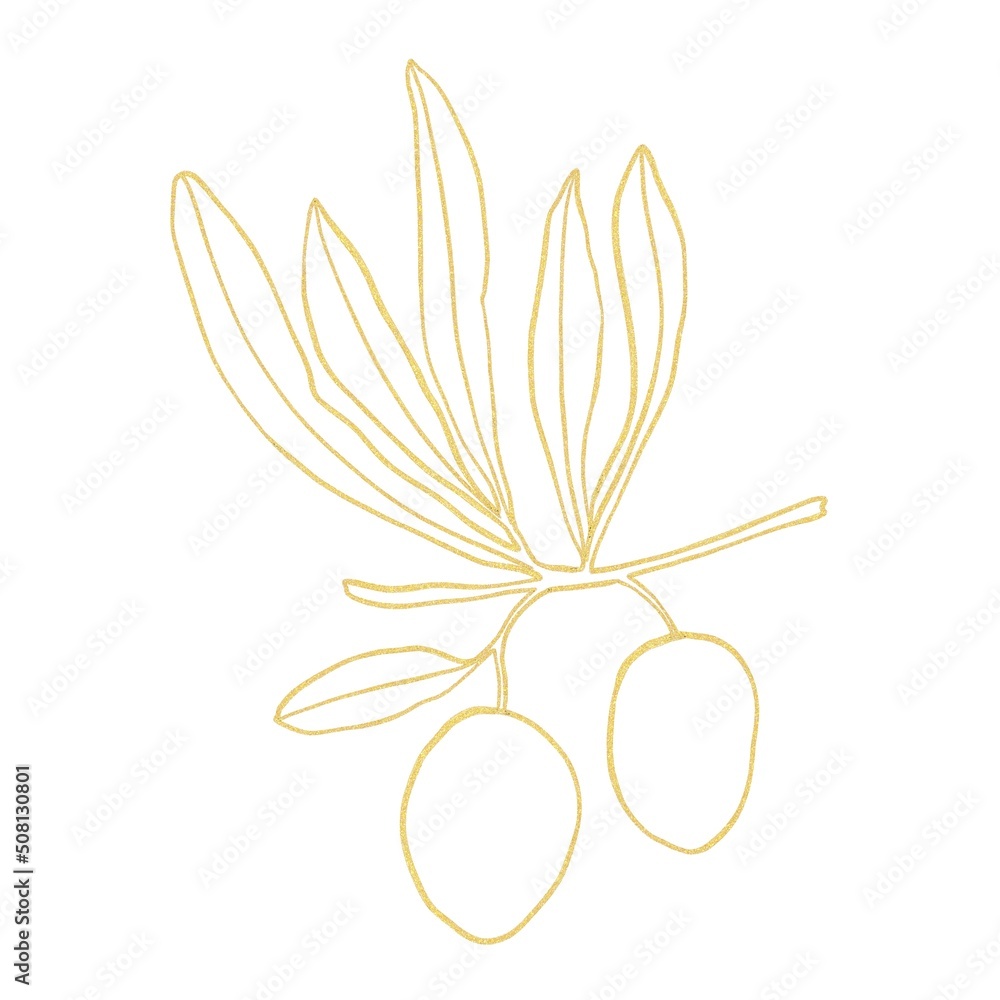 Gold line art with olives branch on white background 