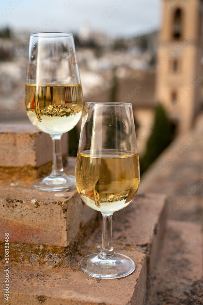 Obraz premium Tasting of sweet and dry fortified Vino de Jerez sherry wine with view on roofs and houses of old andalusian town