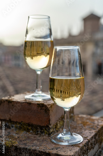 Tasting of sweet and dry fortified Vino de Jerez sherry wine with view on roofs and houses of old andalusian town