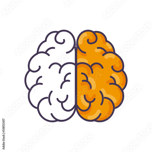 flat split brain design