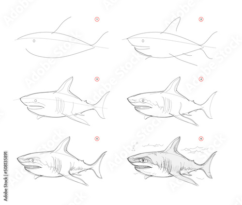 Page shows how to learn to draw sketch of white shark. Creation step by step pencil drawing. Educational page for artists. Textbook for developing artistic skills. Online education. Vector image. photo