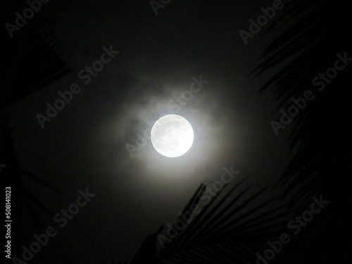 Cloudy full moon night in the tropics
