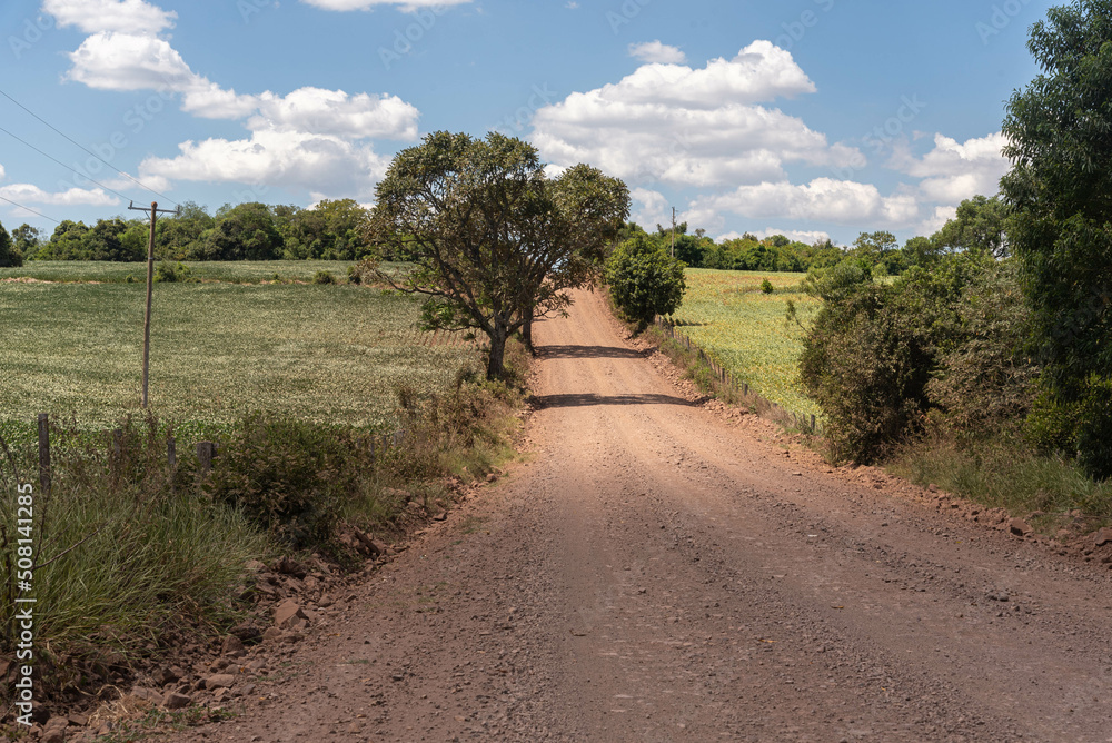 Rural landscape pampa biome in southern Brazil