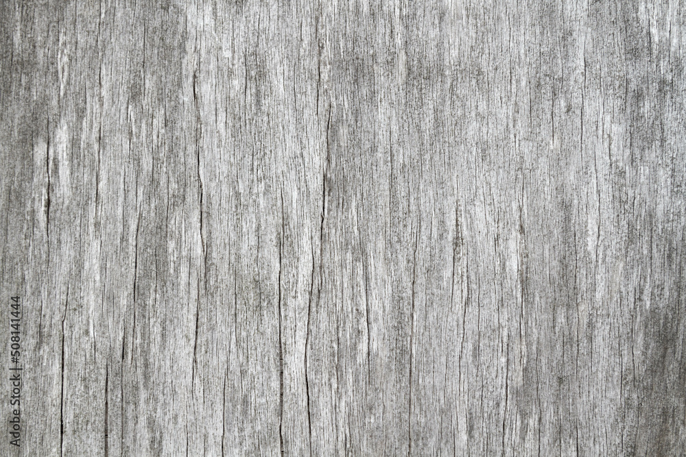 Wood texture in abstract style on dark background. Wood texture. Wood texture in abstract style on dark background. Wood texture.