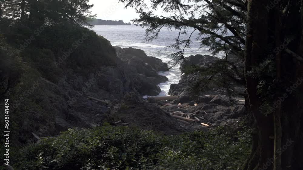Pacific Northwest Coastal Surge Channel 4K UHD. A narrow surge channel in a rocky headland on the Pacific Coast. 4K UHD
Pacific Northwest Coastal Surge Channel 4K UHD. A narrow surge channel in a rocky headland on the Pacific Coast. 4K UHD