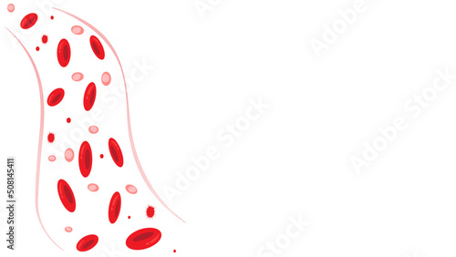 Red Blood Cell Background