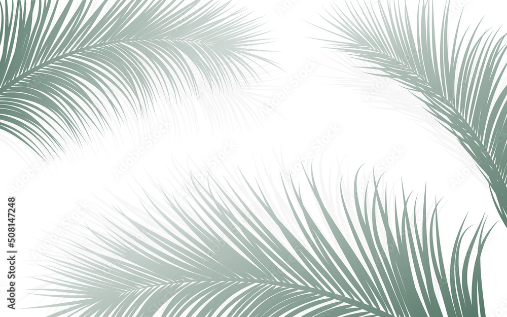 Fototapeta premium Palm leaf botanical frame