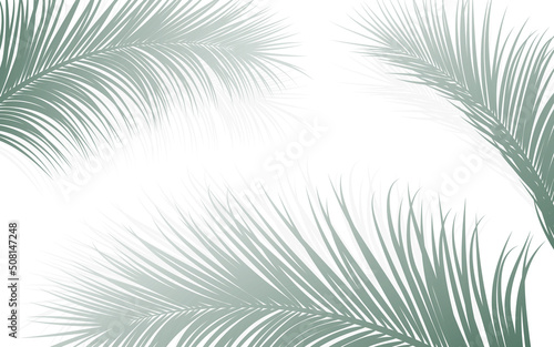 Print op canvas Palm leaf botanical frame