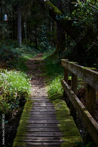 west coast trail