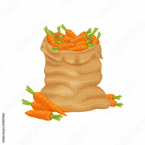 Carrot. A bag of ripe carrots. Orange, ripe carrots in a bag. Fresh vegetables. Farm organic products. Vector illustration